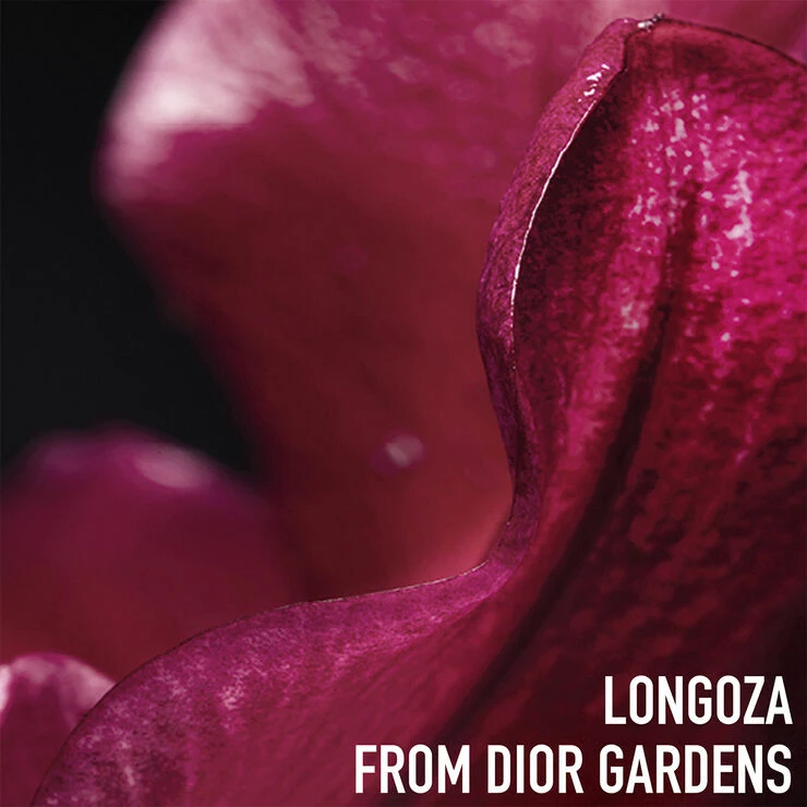 DIOR Capture Totale Super Potent Rich Creme - Billede 4