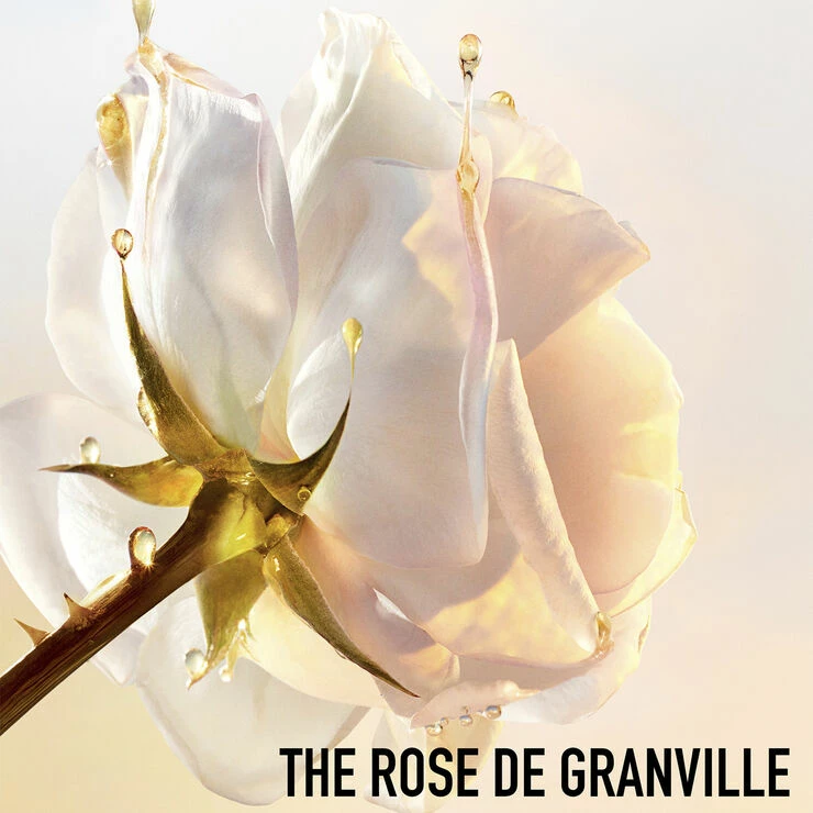 DIOR Prestige Le Sucre De Gommage - Billede 3