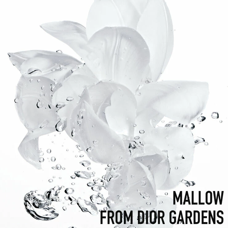 DIOR Hydra Life Intense Sorbet Creme 50 Ml - Billede 2