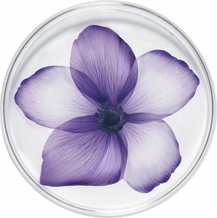 Lancôme Rénergie Multi-Lift Nuit 50 Ml. - Billede 5