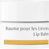 Dr. Hauschka Lip Balm 4,5 Ml.