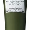 Origins Dr. Weil Mega-Mushroom Relief & Resilience Soothing Face Mask